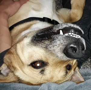 Meet your Posher, Cameron